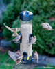 Brome Mega600™ Tube Bird Feeder