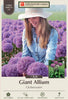 Netherland Bulb Company Giant Allium 'Globemaster'