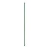 Plant Stake, Plastic Coated Steel, 5-Ft.