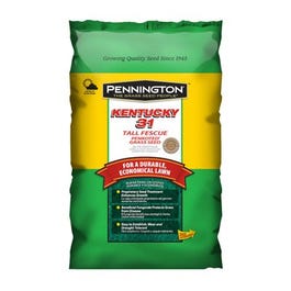 Kentucky 31 Tall Fescue Grass Seed, 5-Lbs.