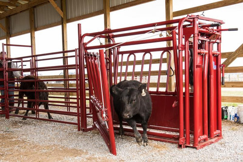 Tarter CattleMaster Series 3 Chute