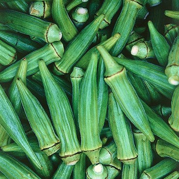 Wetsel Seed Okra - Clemson Spineless Tall