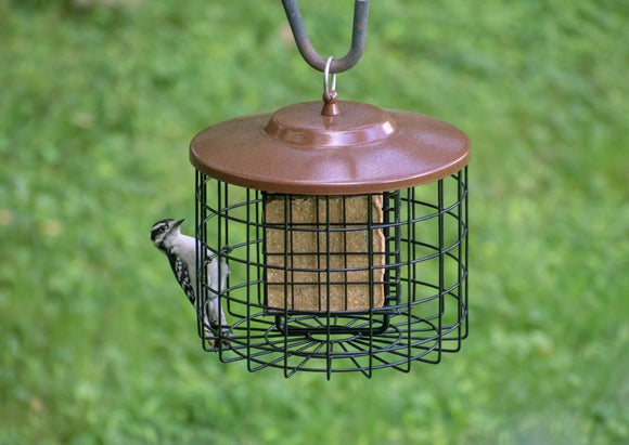 Squirrel-X™ Double Suet Cage Squirrel-Proof Bird Feeder, 2 suet cake capacity