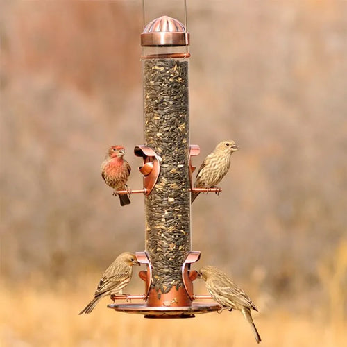 Woodstream Perky-Pet® Copper Finish 2-In-1 Wild Bird Feeder