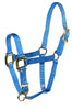 Hamilton 3/4 Deluxe Nylon Halters with Adjustable Chin Strap, Blue Foal