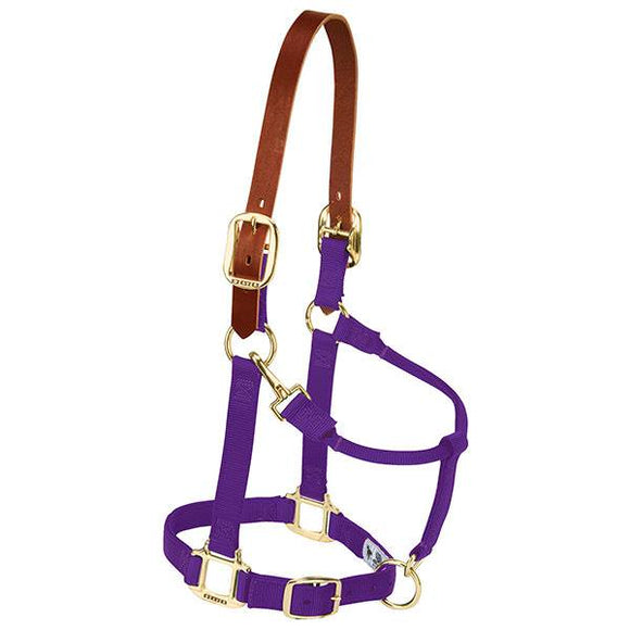 Weaver Leather Breakaway Original Adjustable Chin And Throat Snap Halter Average Purple 1