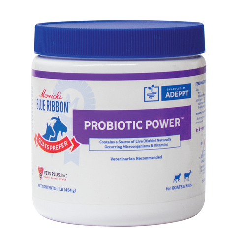 Merrick s Blue Ribbon Goats Prefer Probiotic Powder 1 Pound