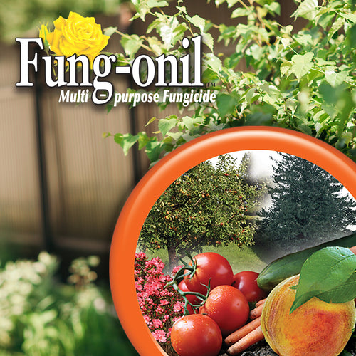 Bonide Fung-onil Fungicide Concentrate