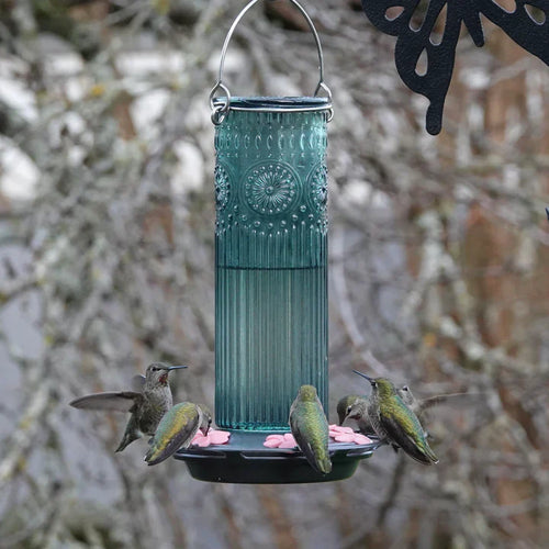 Nature's Way Bird Products Antique Glass Gravity Hummingbird Feeder