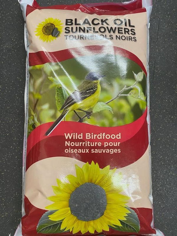 Black Oil Sunflower