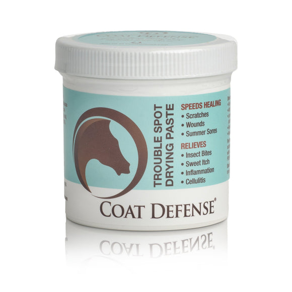 COAT DEFENSE TROUBLE SPOT DRYING PASTE