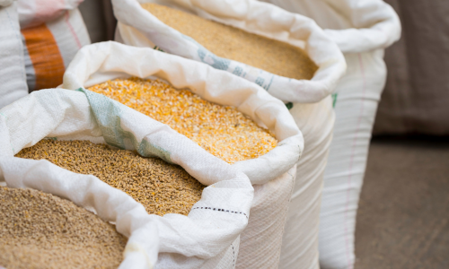 Open sacks filled with various grains, including corn and wheat, arranged in a row. The scene conveys a sense of abundance and variety.