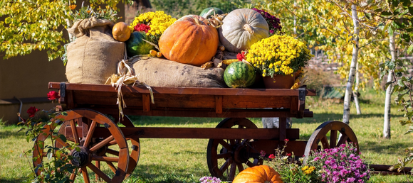 Rustic wooden cart filled with autumn harvest decorations, including large pumpkins, gourds, burlap sacks, yellow mums, and a watermelon. The cart is surrounded by colorful flowers and set against a backdrop of trees with golden leaves, creating a charming fall scene.