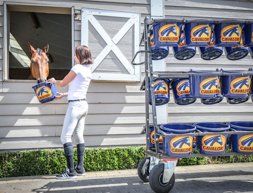 Cavalor Fiberforce Horse Feed