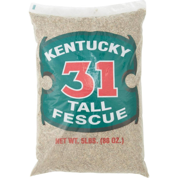 Barenbrug 5 Lb. 1000 Sq. Ft. Coverage Kentucky 31 Tall Fescue Grass Seed