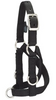 Weaver Leather Sheep & Goat Training Halter