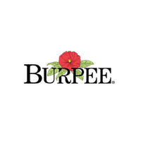 Burpee