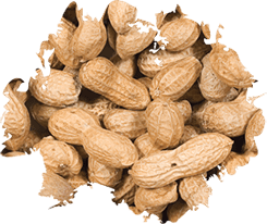 Wild Delight Inshell Peanuts