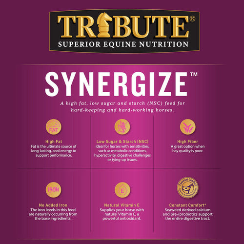 Tribute Synergize™ Pelleted Horse Feed