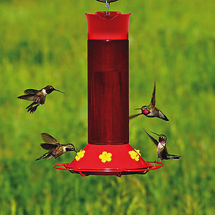 Perky-Pet® Hummer’s Favorite Plastic Hummingbird Feeder - 30 oz Nectar Capacity