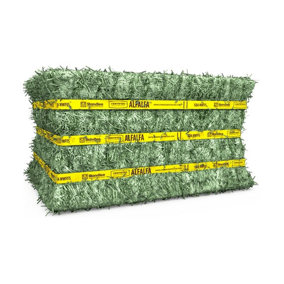 Standlee Certified Alfalfa Compressed Bale