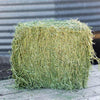 Standlee Certified Alfalfa Compressed Bale