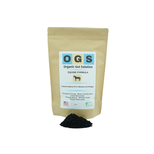 Equine Organic Gut Solutions