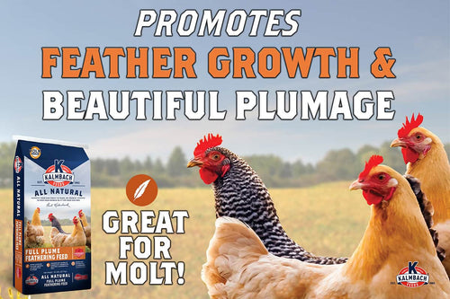 Kalmbach Full Plume Feathering Poultry Feed (Pellet)