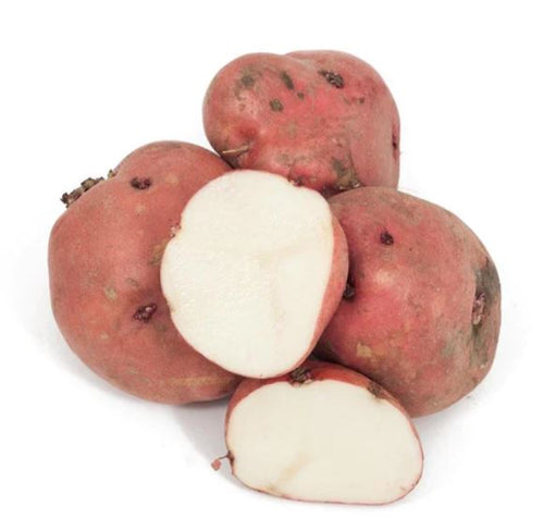 Red Pontiac Potato Certified