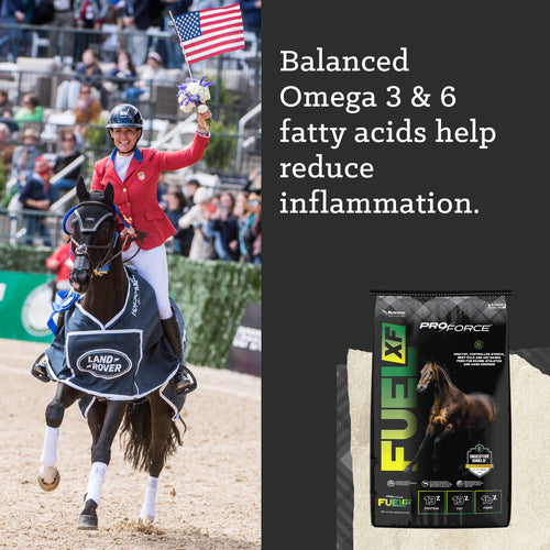 Nutrena® ProForce® Fuel XF Horse Feed