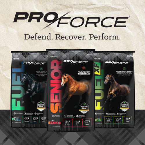Nutrena® ProForce® Fuel XF Horse Feed