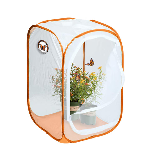 Monarch Butterfly Pop-Up Mesh Incubator