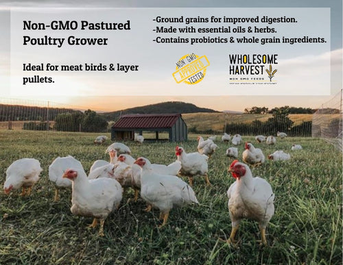 Ernst Grain & Livestock Wholesome Harvest Pastured Poultry Grower