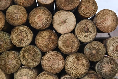 Kencove CCA 5-6 x 8' Tapered Wood Post