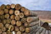 Kencove CCA 4-5 x 10' Tapered Wood Post
