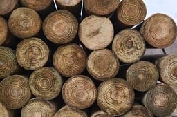 Kencove CCA 5-6 x 10' Tapered Wood Post