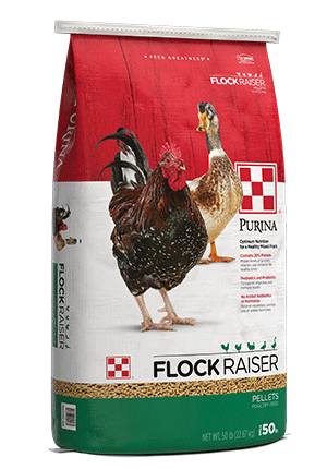 Purina® Flock Raiser® Pellets