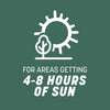 Pennington Kentucky 31 Tall Fescue Grass Seed