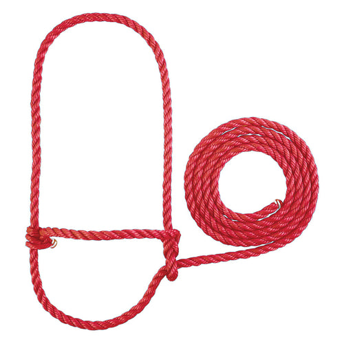 Weaver Rope Halter, Calf