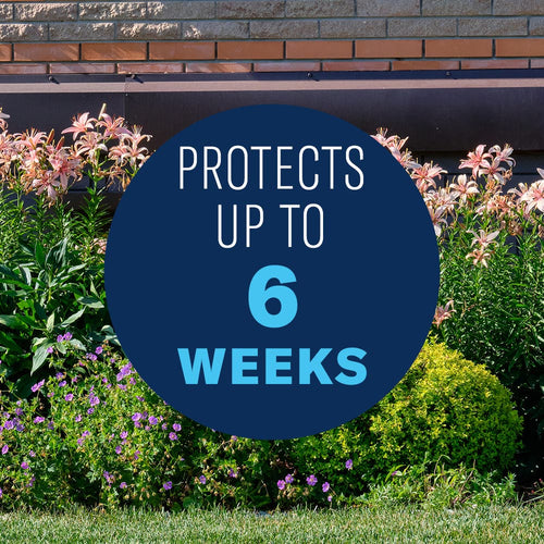 BioAdvanced Shrub Care Protect & Feed Granules