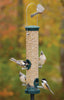 Aspects® Quick Clean Seed Tube Feeder Spruce