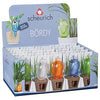 Scheurich Bordy Indoor Water Plant Reserve