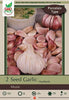 Netherland Bulb Company Hardneck Seed Garlic - Porcelain Type