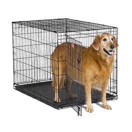 Dog Home Training Crate, 42-In.