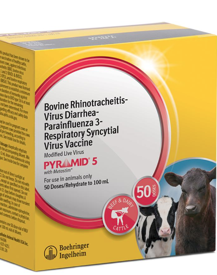 Boehringer Ingelheim Pyramid 5 Cattle Vaccine (50-dose)