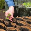 Ferry-Morse Jiffy-Pots Peat Pots