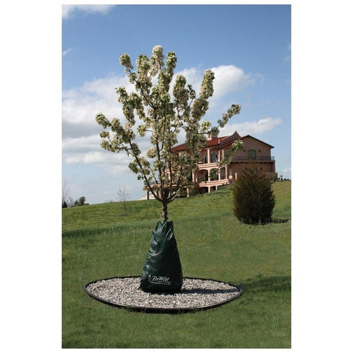 DEW RIGHT TREE WATERING BAG