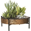 PANACEA TABLETOP ROUND TRAY PLANTER