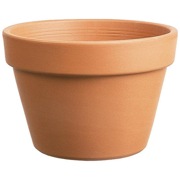 AZALEA CLAY POT