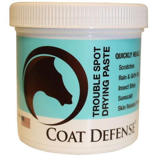 COAT DEFENSE TROUBLE SPOT DRYING PASTE